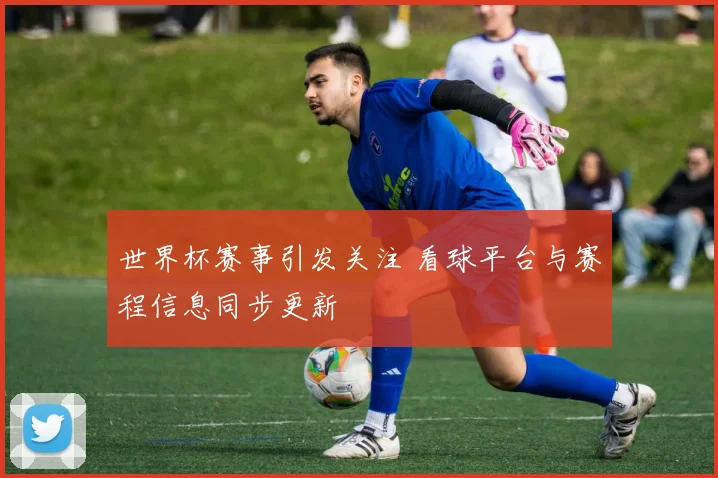 世界杯赛事引发关注 看球平台与赛程信息同步更新